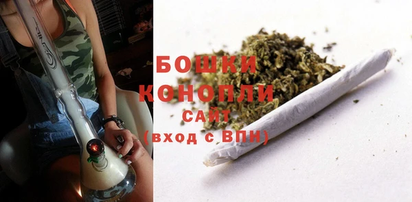 сатива Переславль-Залесский