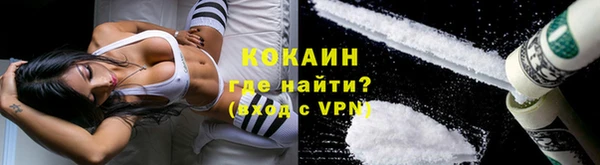 сатива Переславль-Залесский