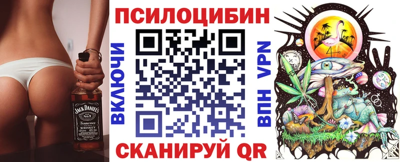 Галлюциногенные грибы Magic Shrooms  сколько стоит  Суджа 