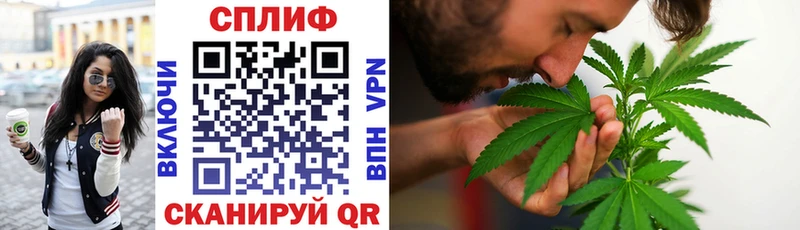 ОМГ ОМГ ТОР  маркетплейс какой сайт  Суджа  Бошки Шишки VHQ  купить наркотик 